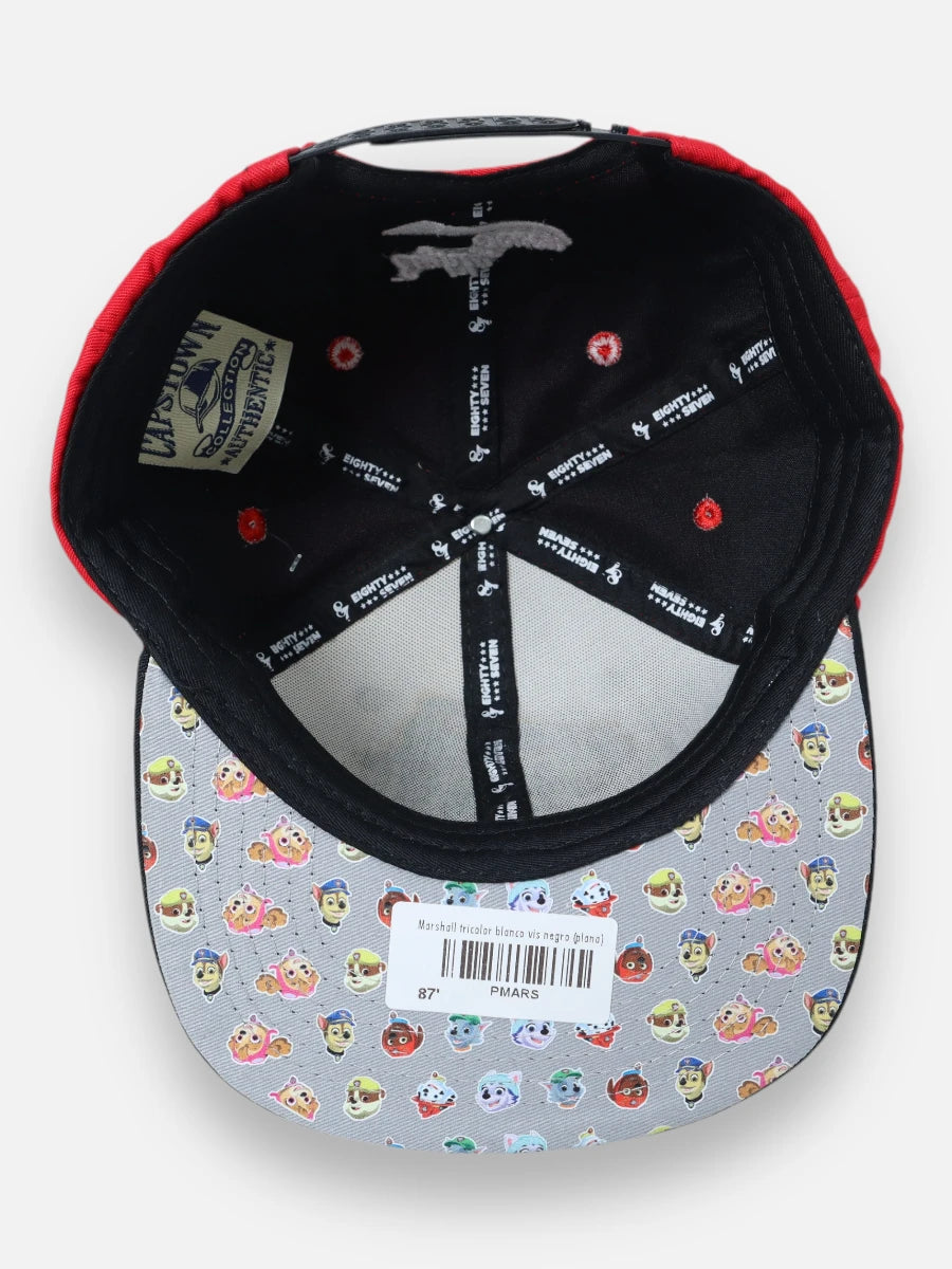 Gorra R074 Paw-Patrol