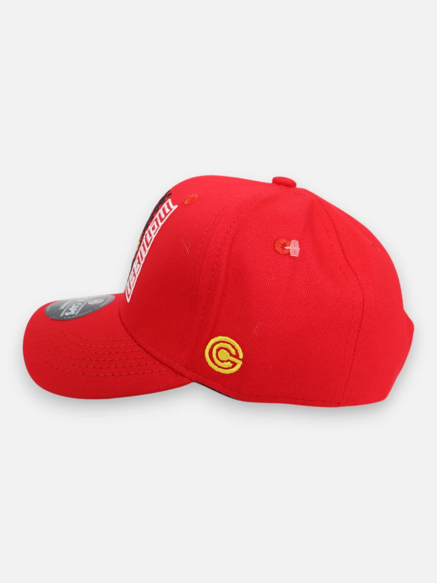 Gorra R224