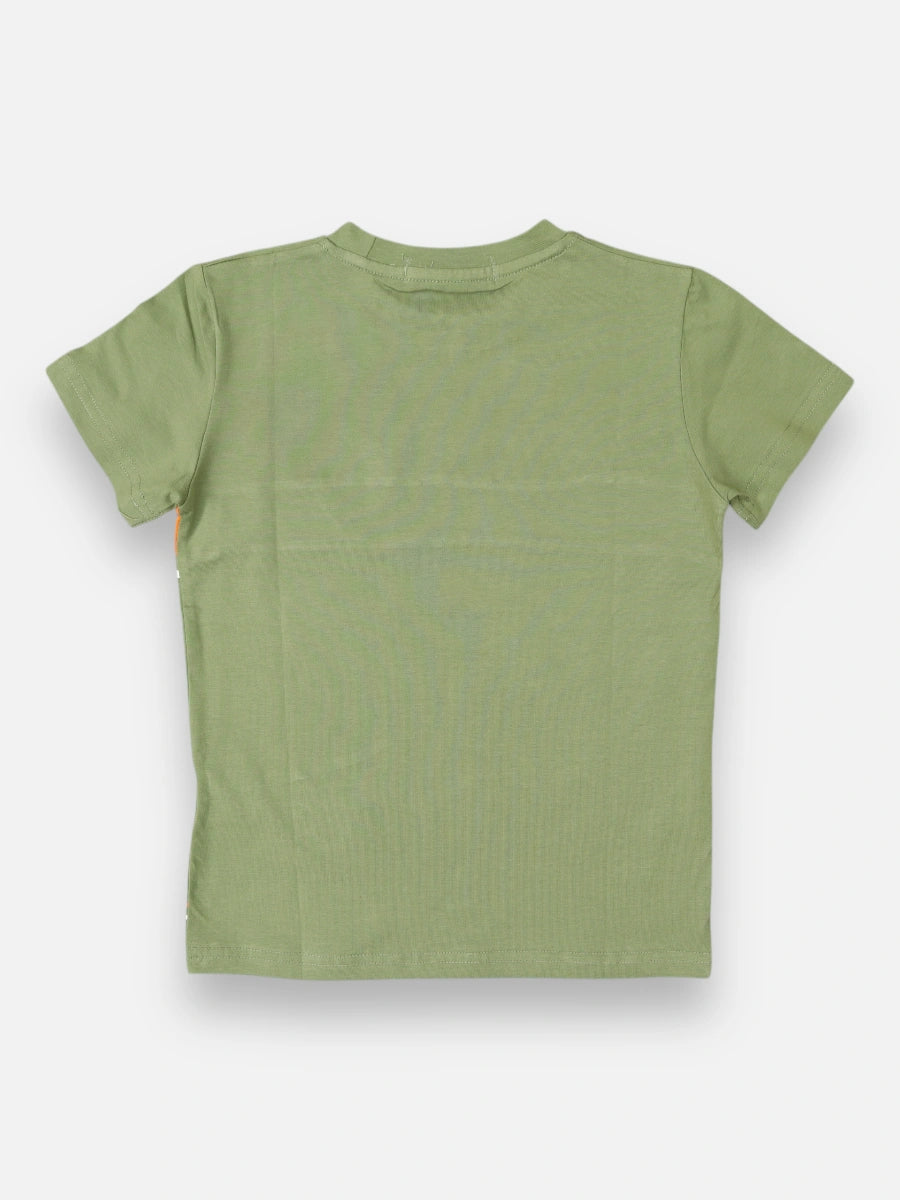 Camiseta DS R002 Verde