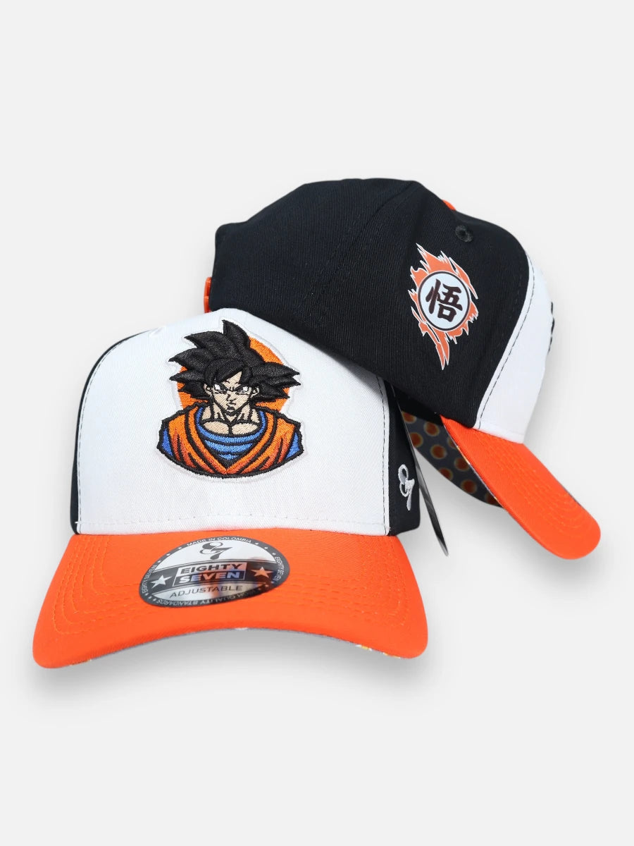 Gorra R103