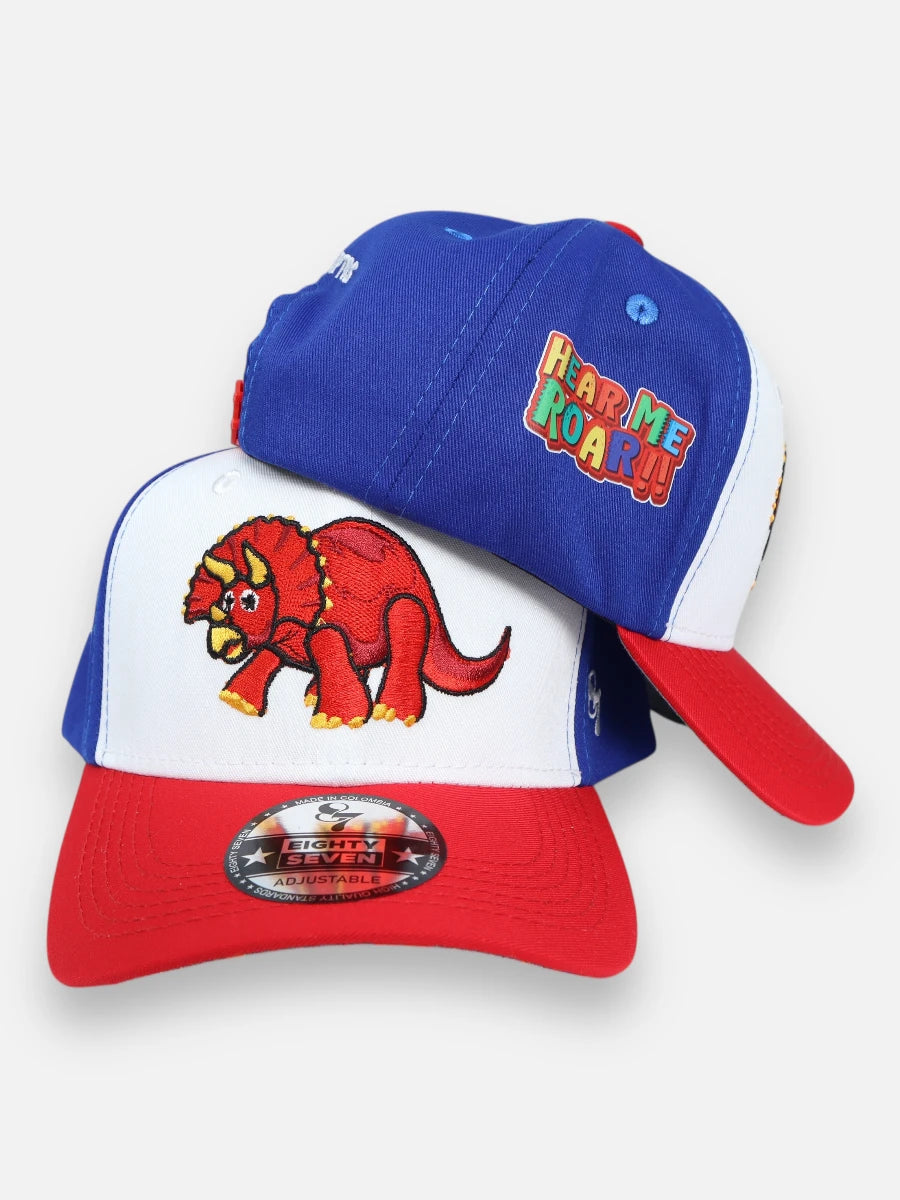 Gorra R111