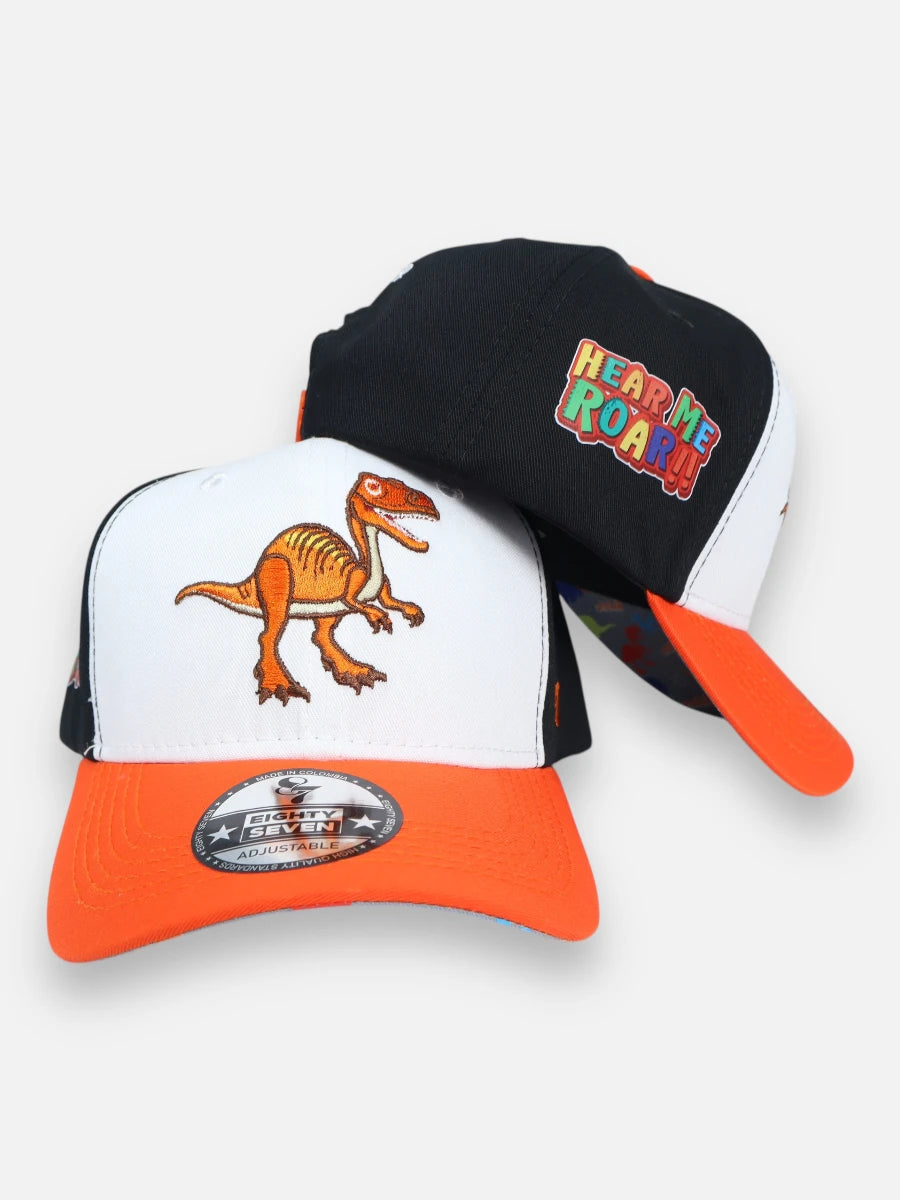 Gorra R112