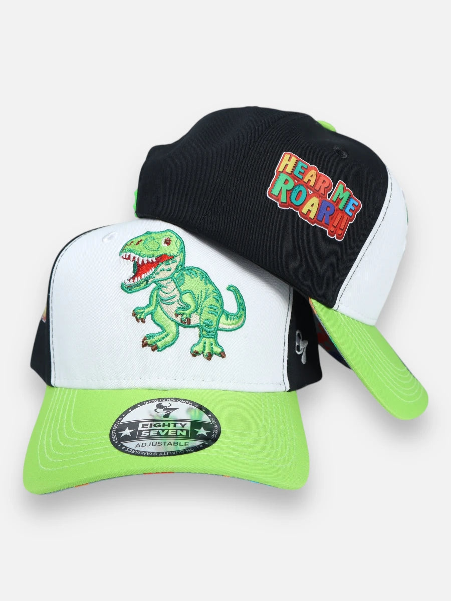 Gorra R113