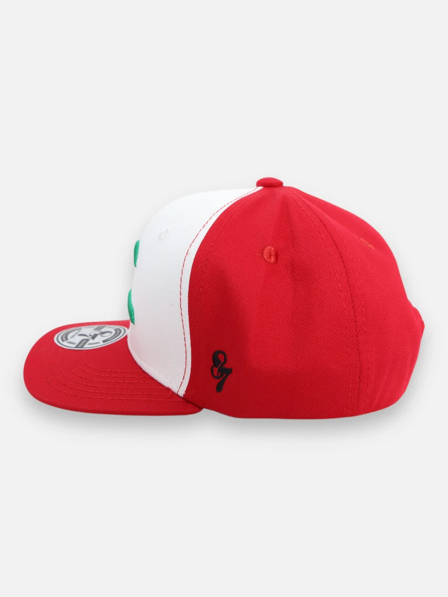 Gorra R147 Pokemon Ash