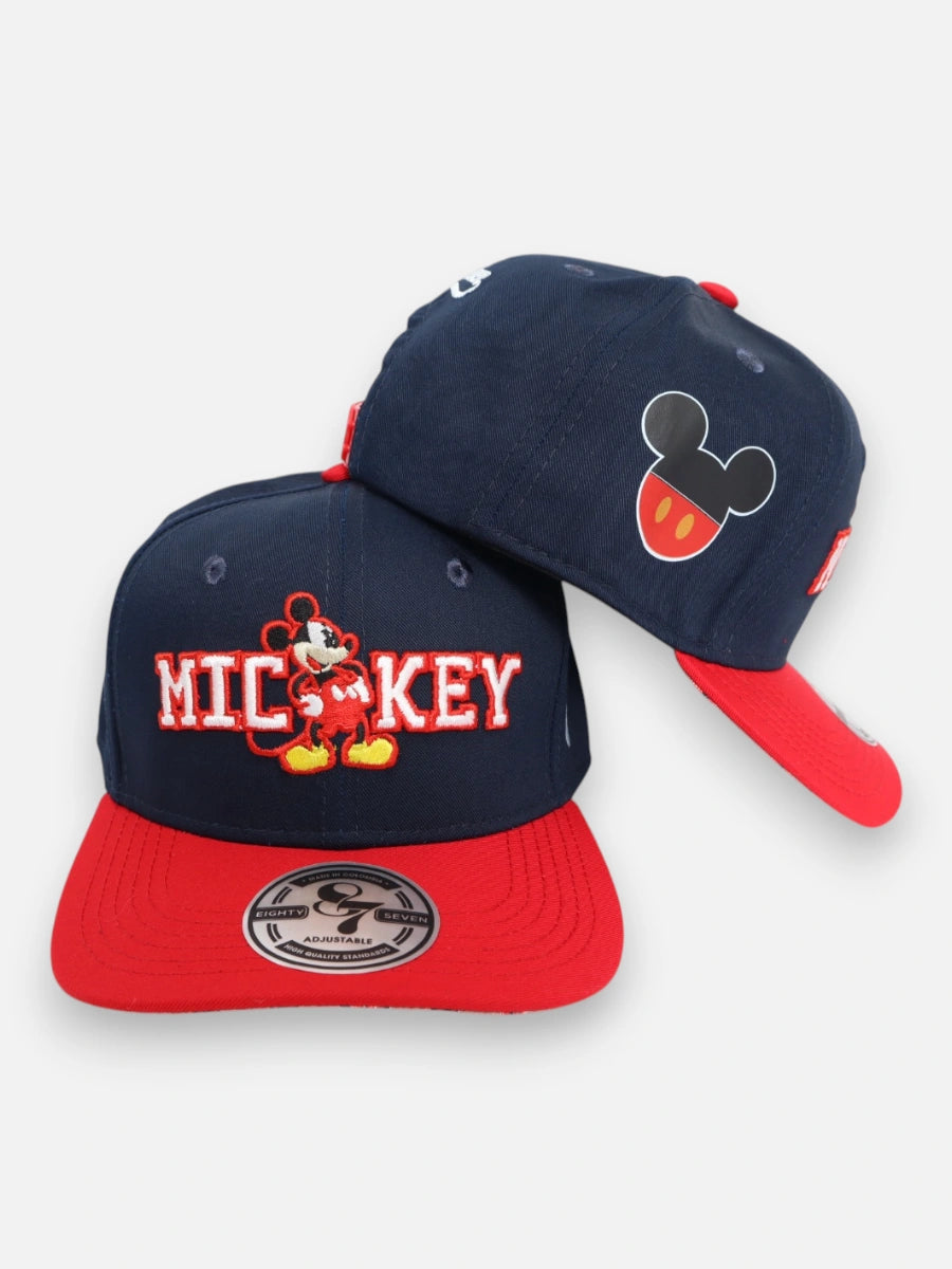 Gorra R209