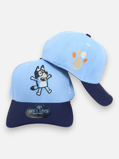 Gorra R210