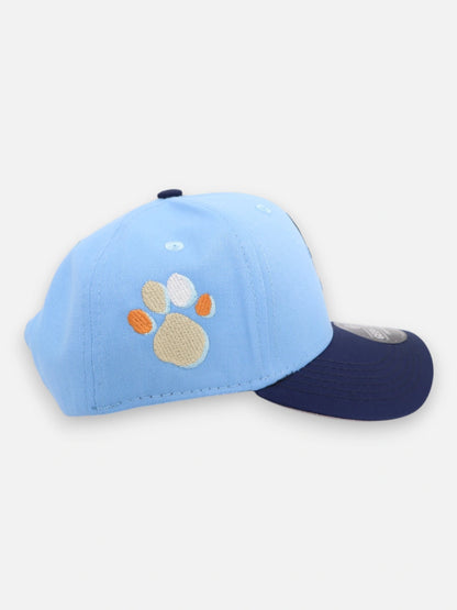Gorra R210