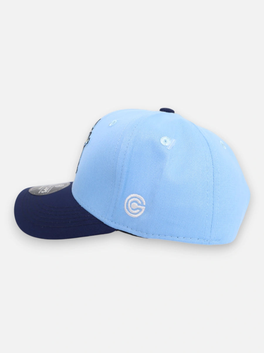 Gorra R210