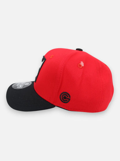 Gorra R222