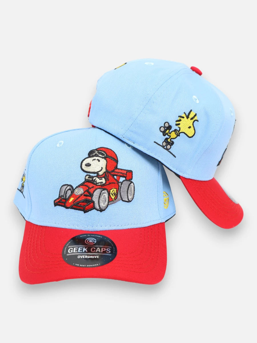 Gorra R229