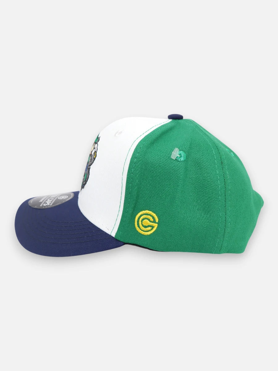 Gorra R232