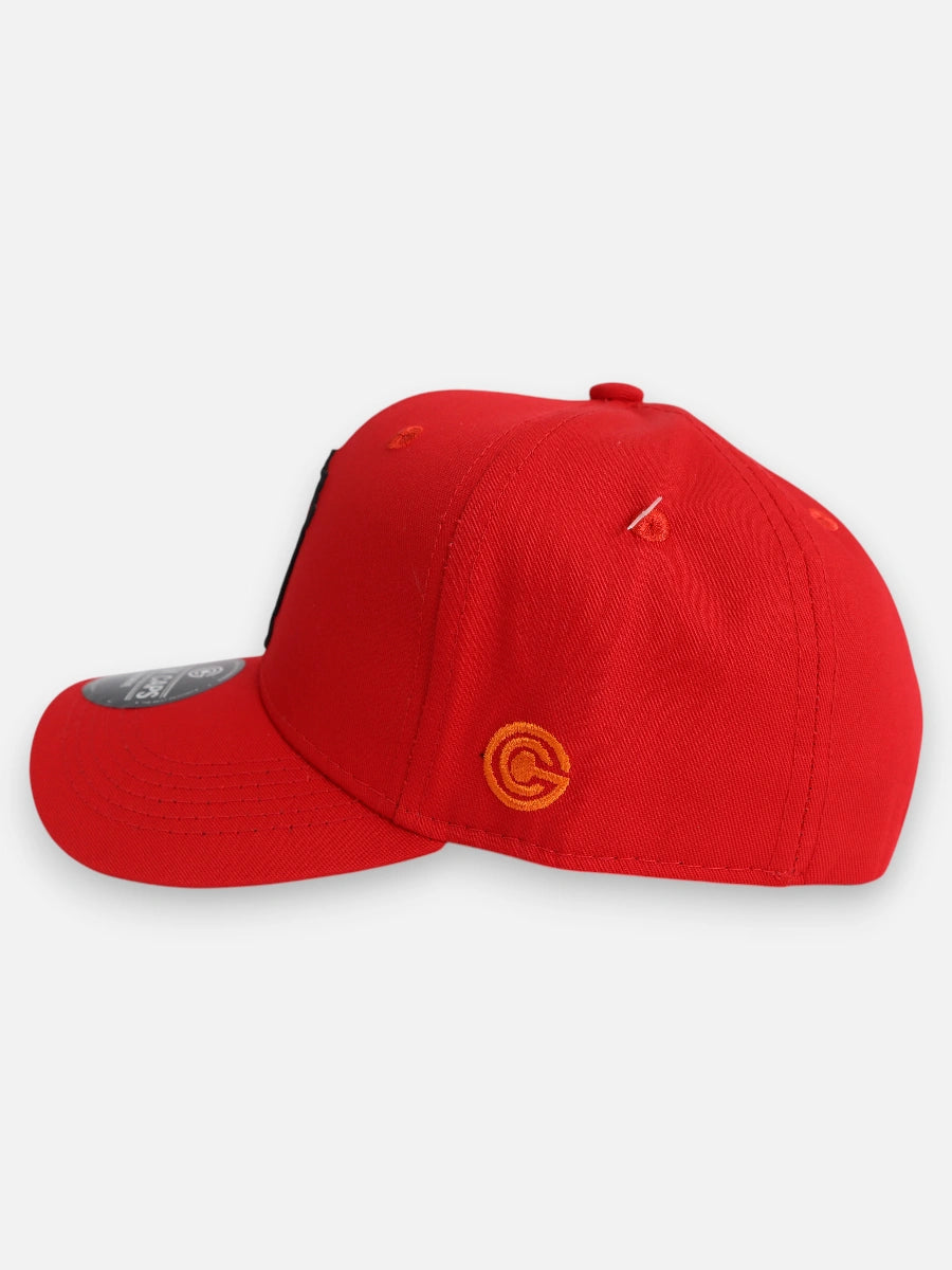 Gorra R239