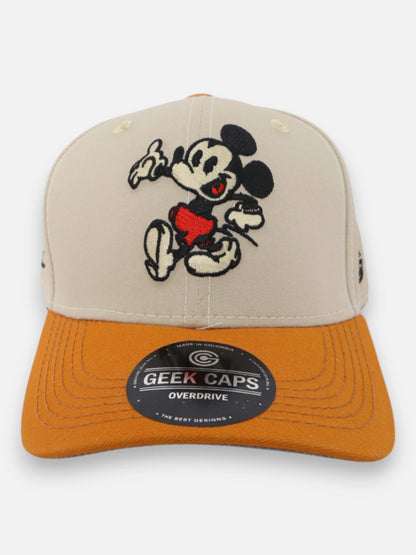 Gorra R246