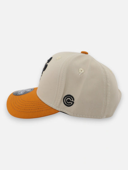Gorra R246