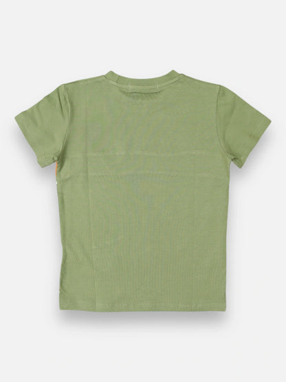 Camiseta DS R002 Verde